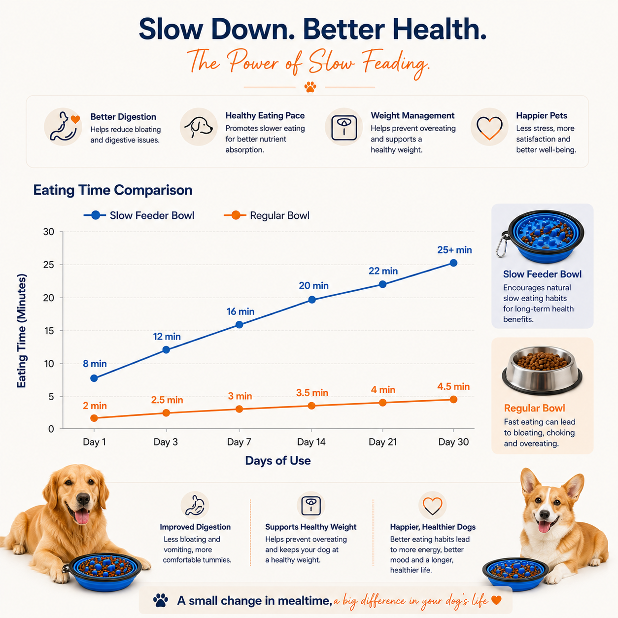 2 in 1 Portable Slow Feeder Dog Bowl