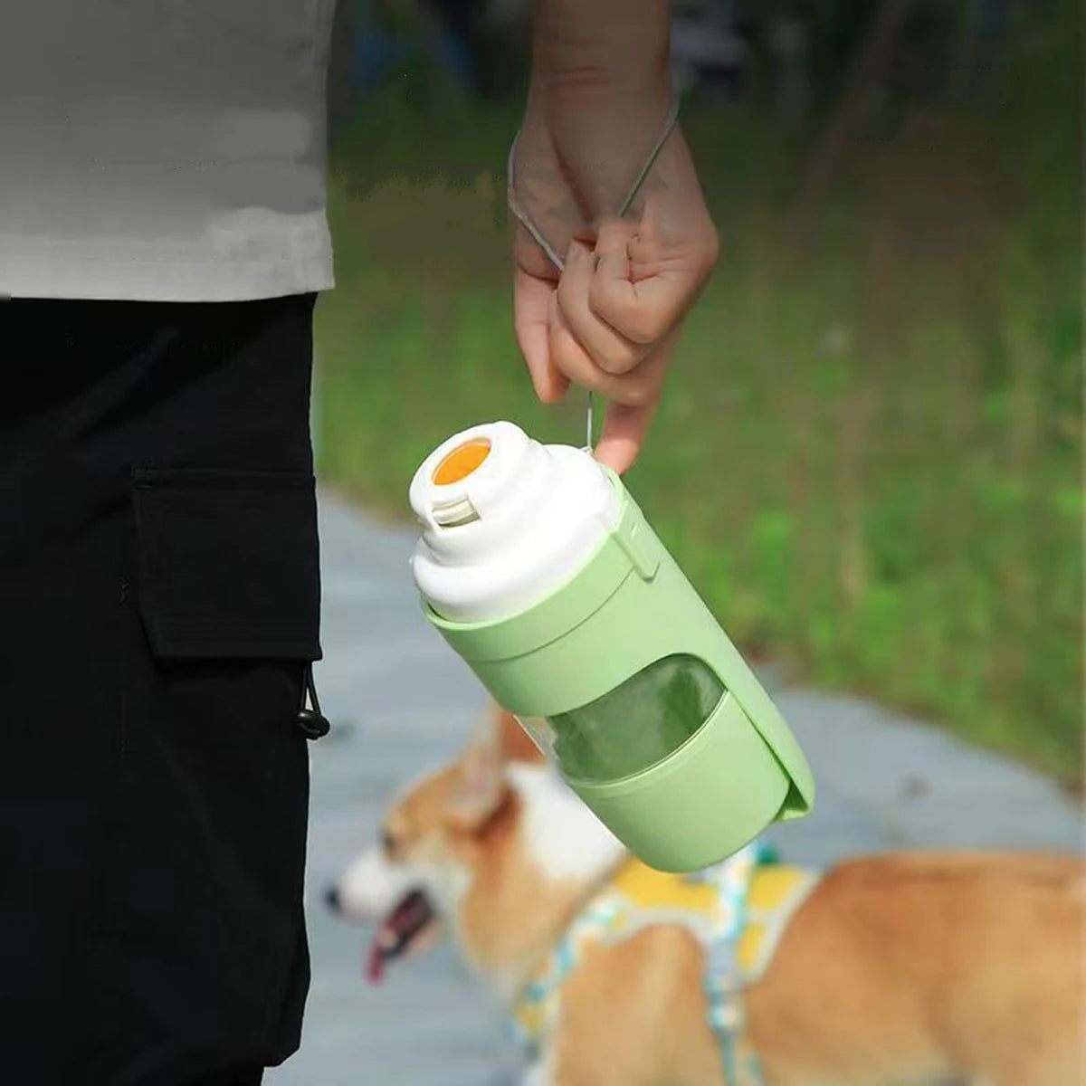 Travel Water Bottle