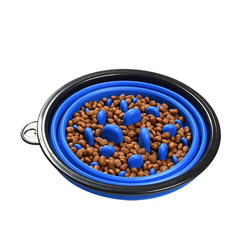 Travel Dog Bowl