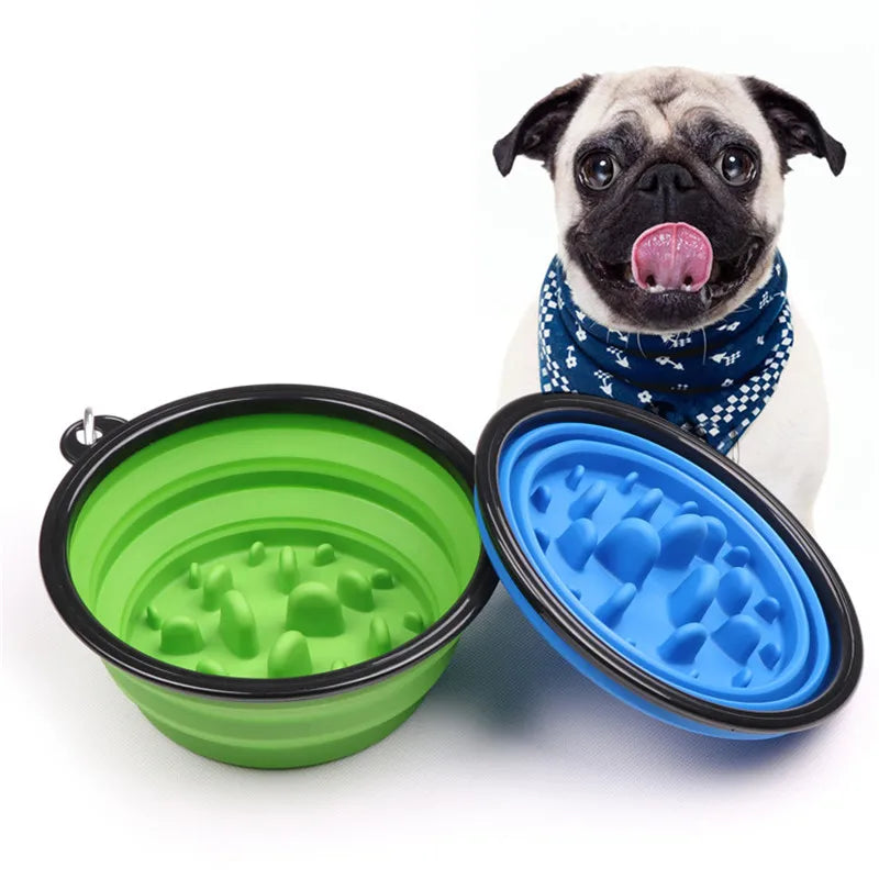 Travel Dog Bowl