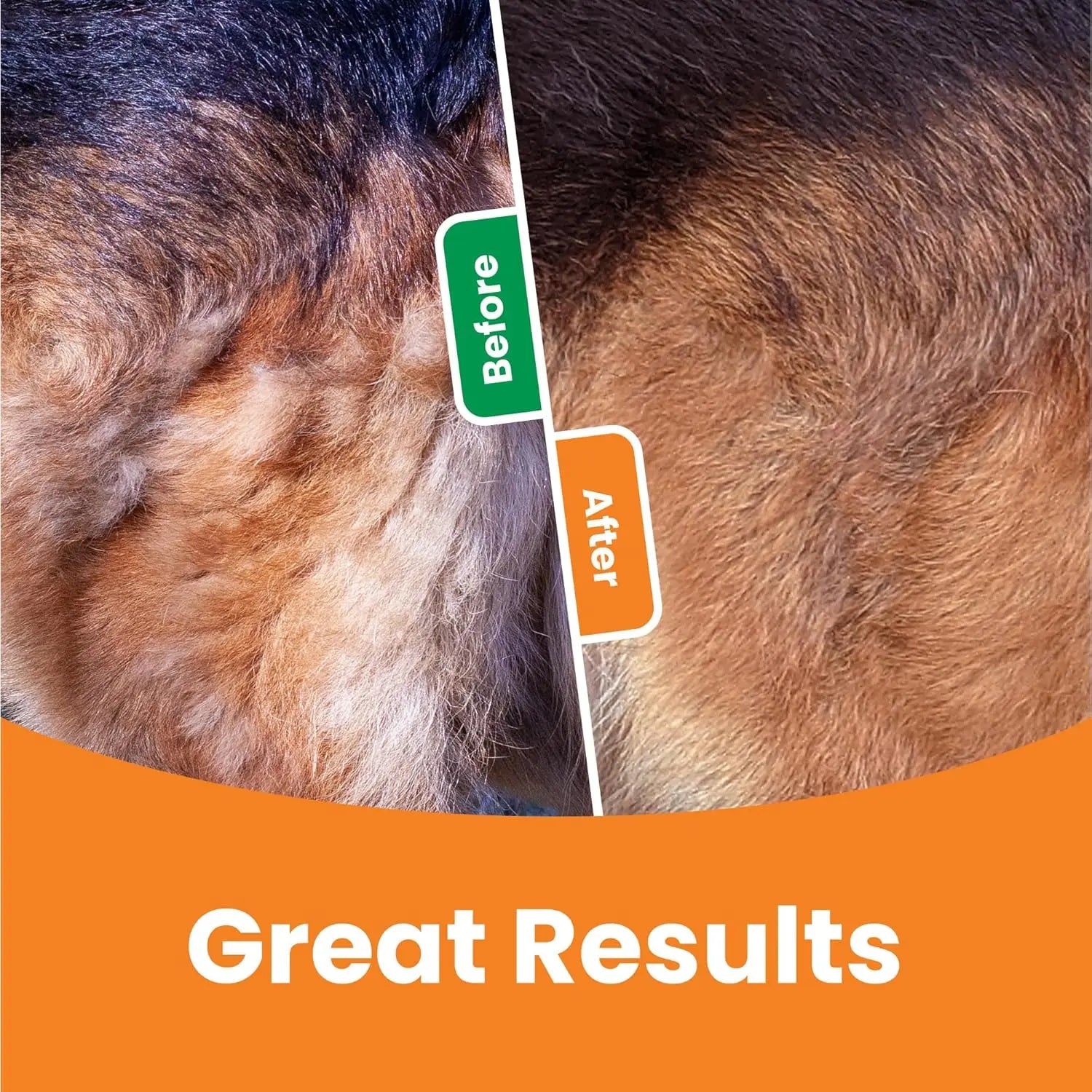 3-in-1 Pet Grooming & Deshedding Brush