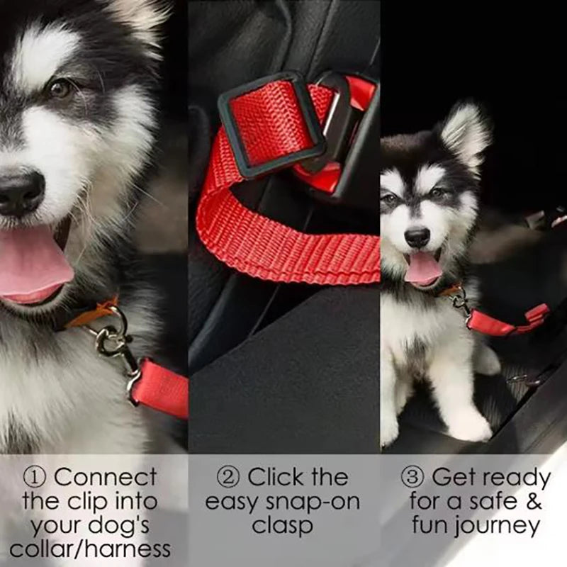 Dog Car Seat Belt